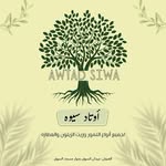 أوتاد سيوة